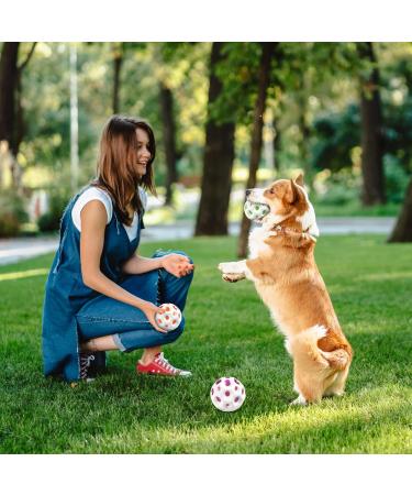 Astro Jump Ball Set - 3 Mini Bouncing Rubber Balls for Stress Relief Party Games & Sports Training | Indoor & Outdoor Fun - Buy Online on GoSupps.com