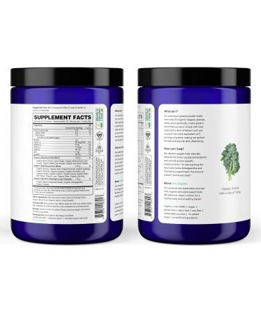 Buy Ora Easy Being Green Organic Alkaline Greens Powder with Citrus Flavor â€“ 240g - Buy Online on GoSupps.com