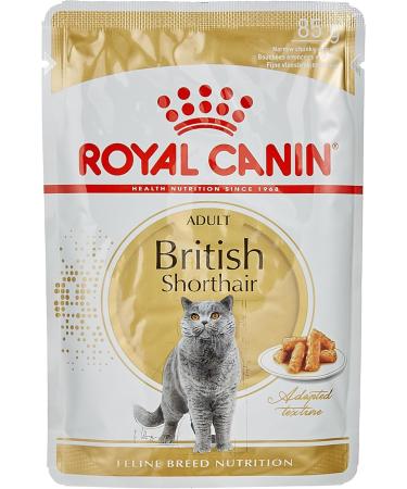 Royal Canin British Shorthair Wet Cat Food 85 g (Pack of 12) - Buy Online on GoSupps.com