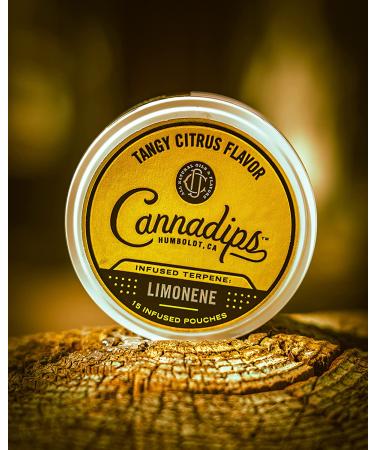 Cannadips Terpene Infused Nicotine-Free Dip Pouches - 4-Can Variety Pack | Made In USA - Buy Online on GoSupps.com
