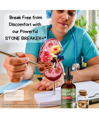 Chanca Piedra Stone Breaker Liquid Formula - Kidney & Gallbladder Cleanse with Hydrangea, Celery Seed, Marshmallow & Dandelion Root - 2fl oz - Buy Online on GoSupps.com