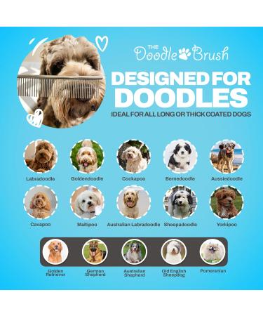 The Doodle Brush - Best Dog Comb for Goldendoodles & Labradoodles | Pet Comb for Medium & Long Hair Dogs | Metal Ridge & Fellkamm   - Buy Online on GoSupps.com