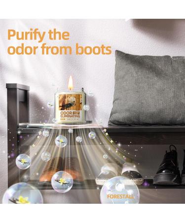 Vanilla Odor Eliminating Candles - Eliminate 99% of Pet Smoke & Food Smells | Highly Fragranced Premium Soy Candles for Home - Ideal Gift for Women - Buy Online on GoSupps.com