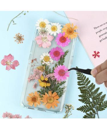 Nuanchu Pressed Flowers Resin Mold Real Daisy Dried Flowers with Tweezers - DIY Candle, Jewelry & Crafts - Fresh Style (Multi Color) - Buy Online on GoSupps.com