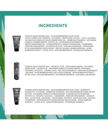 Yves Rocher Face and Beard Care Routine ( Face & Short Beard Care 50ml Grooming Homme Shaving Foam 200ml Aftershave Balm 100ml) | Holiday Gift Idea For Him | Made in France - Buy Online on GoSupps.com