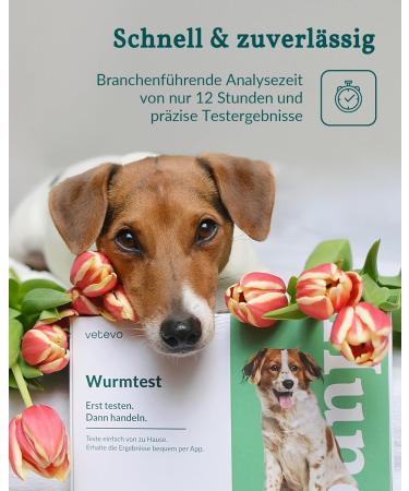 Vetevo Wurmtest Dog - Fast 12h Results for Roundworms Hookworms & Coccidia - Precise Parasite Test for All Dogs | International Shipping - Buy Online on GoSupps.com