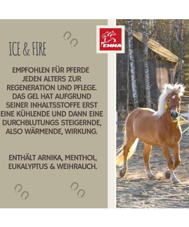 2 in 1 Cooling + Warm Horse Balm 2 x 500 ml - Cooling Gel with Extra Strength Arnica Ointment I Tendons Ligaments I Refreshing Ointment and Heating Ointment I Ointment for - Buy Online on GoSupps.com