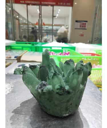 1000gRare Natural Green Ghost Cluster Crystal Stone Clear Crystal Natural Specter Reiki Quartz Stones Specimen Beautiful Crystal Cluster (Size : 500g) - Buy Online on GoSupps.com
