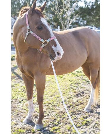 Intrepid International Horse Lunge Line Rope - Durable and Reliable - Buy Online on GoSupps.com