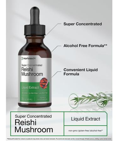 Reishi Mushroom Extract Tincture 2 fl oz Liquid | Ganoderma Lucidum Supplement by Horbaach - Buy Online on GoSupps.com