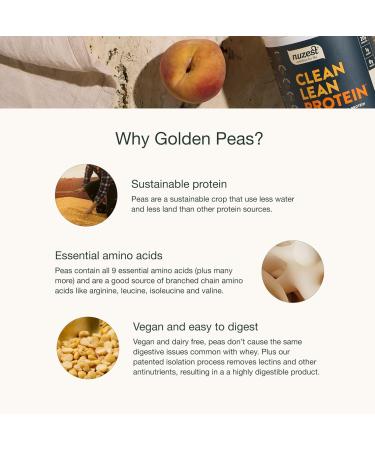 Nuzest - Pea Protein Powder - Clean Lean Protein Premium Vegan Plant Based Protein Powder Dairy Free Gluten Free GMO Free Protein Shake Smooth Vanilla 40 Servings 2.2 lb Vanilla 2.2 Pound (Pack of 1) - Buy Online on GoSupps.com