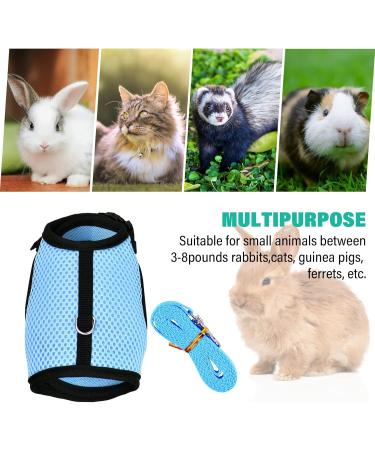 Tibapla Adjustable Rabbit Dishes & Leash for Small Pets - Mesh Bunny & Kitty Dish (Medium Blue) - Buy Online on GoSupps.com