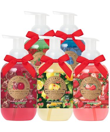 Foaming Hand Soap Gift Set for Women - 5 Pack 16.9 fl.oz (500mL) Fresh Fruit Scented Assorted Luxury Hand Wash with Includes Gift Card & Premium Box Kitchen Bathroom Home Essentials