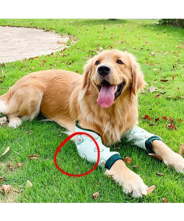 Dog Elbow Brace Washable and Reusable Pet Elbow Brace Protector Prevent Wound Dog Brace Front Leg Soft Thickened Polyester Cotton Pet Leg Brace (XL) - Buy Online on GoSupps.com