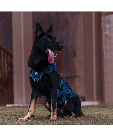 Oneigris No-Pull Dog Harness | Ultra Breathable Adjustable Vest for Large & Medium Dogs - Blue (M: Neck 40-58cm Breast 60-81cm) - 2 Handles for Easy Control - Buy Online on GoSupps.com