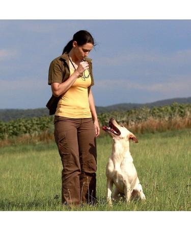 Whistle High Frequency Recall Dog Training Cat Dressage Education Whistle - Buy Online on GoSupps.com