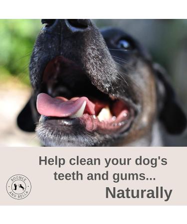 Bounce and Bella Pig Ears Strips for Dogs Natural Dog Chews Healthy Treats Help Clean Dogs Teeth 150 g (Pack of 1) - Buy Online on GoSupps.com