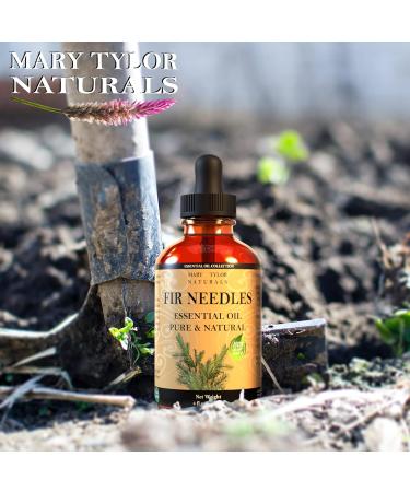 Fir Needle Essential Oil (4 oz) Premium Therapeutic Grade 100% Pure and Natural Perfect for Aromatherapy and Much More by Mary Tylor Naturals Amber - Buy Online on GoSupps.com