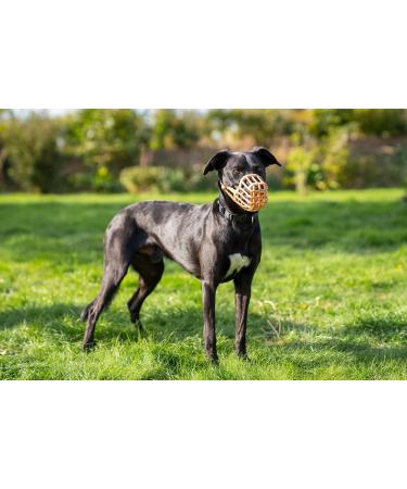 Baskerville Anti-Poison Bait Muzzle for Large Dogs - Size 9 | Pant & Drink Comfort Bite Protection Padded Nose Strap - Buy Online on GoSupps.com