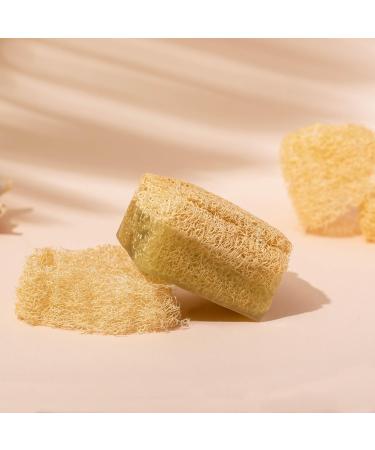 Natural Pumpkin Fiber Aloe Vera Soap - Nourishing & Moisturizing for Face & Body | Anti-Skin Dryness | 5.29 oz (150g) - International Shipping Available - Buy Online on GoSupps.com