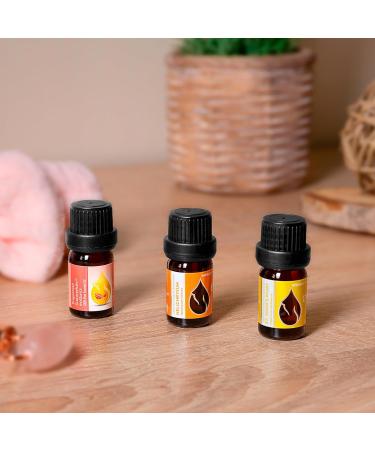 Essences Bulgaria Moldovan Dragon Head Oil 10ml - 100% Natural & Undiluted | Vegan Non-GMO Top Quality | Family Business | Shop Now! - Buy Online on GoSupps.com