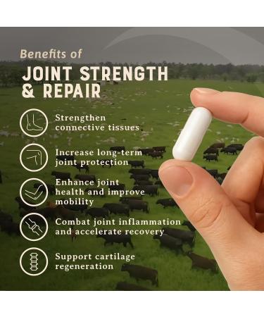 Heart & Soil 100% Grass Fed & Finished Joint Support Supplement from Regenerative Cattle with Trachea, Scapula & Bone Marrow Supports Joint Strength & Mobility 3000mg Glass Bottle 180 Capsules Joint, Strength & Repair - Buy Online on GoSupps.com