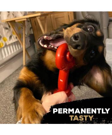 Rosewood 57042 TastyBone Extra Robust Knotted T-Bone Dog Toy - Durable Nylon Beef Flavor for All Dogs - International Shipping Available - Buy Online on GoSupps.com