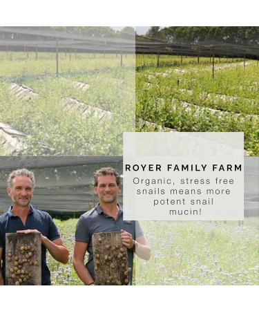 100% Pure Organic Snail Mucin Eye Cream | Cruelty-Free Luxury | Made in France - .50 oz - Buy Online on GoSupps.com