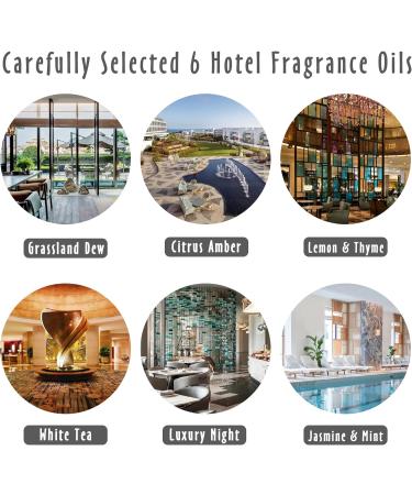 Fragrance Oils - MitFlor Hotel Collection Diffuser Oil Set (6x10ml) | Aromatherapy Home Scents Soap & Candle Making - Buy Online on GoSupps.com