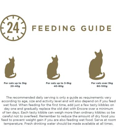 Encore Complete and Grain Free Adult Dry Cat Food Chicken 800 g (Pack of 3) - Buy Online on GoSupps.com
