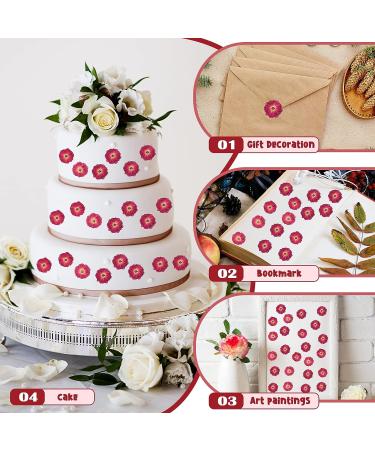 100 Pcs Red Rose Dried Pressed Flowers - Natural Resin Filler for DIY Crafts and Decor - Buy Online on GoSupps.com