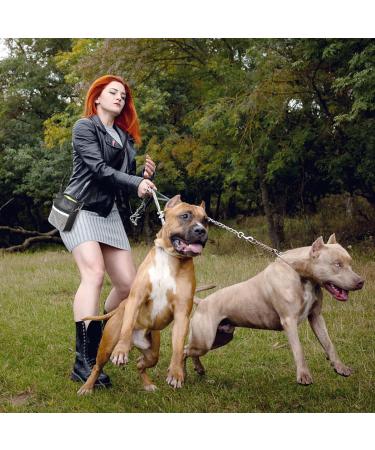 Buy Aocclant Dog Training Treat Bag - Versatile Hip Belt 3 Carrying Options Easy Wear for Toys & Treats - Black - Buy Online on GoSupps.com