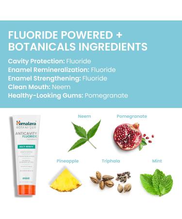 Himalaya Botanique Anticavity Fluoride Toothpaste Fluoride with Multi-Benefit Support Fights Cavities Strengthens Enamel Promotes Remineralization Mint Flavor 4 oz. Mint 4 Ounce (Pack of 1) - Buy Online on GoSupps.com