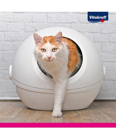 Vitakraft Magic Clean Lavender Cat Litter | Non-Clumping Low Dust 5L with Practical Carrying Strap - Buy Online on GoSupps.com