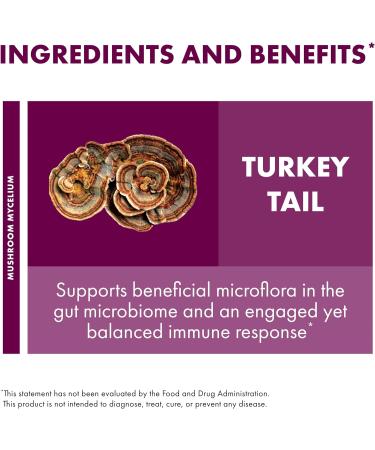 Host Defense Turkey Tail Extract 2 fl oz - Natural Immune & Digestive Support Supplement - Buy Online on GoSupps.com