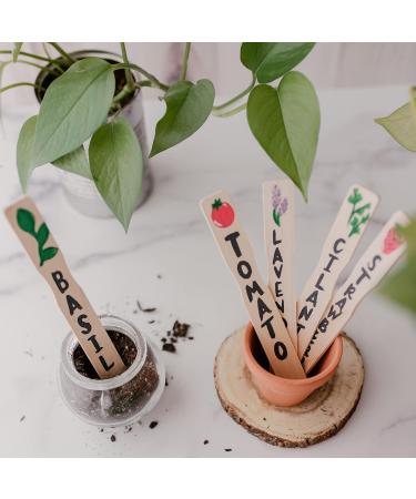 12 Inch Paint Sticks Box of 25 Hardwood Paint Stirrers Wood Mixing Paddles for Epoxy or Resin Garden or Library Markers by Woodpeckers 12 inch Pack of 25 - Buy Online on GoSupps.com