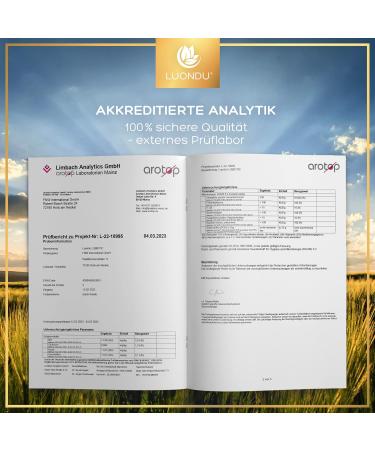 Cultures Complex - 350 Billion KBE/g 20 Strains & Organic Acacia Fiber - Vegan Gastrointestinal Support - 180 Capsules - Buy Online on GoSupps.com