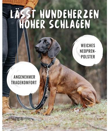 Rudelknig Paola Adjustable Reflective Dog Collar for Small Dogs - Black Nylon Size 1 (25-30cm) - Buy Online on GoSupps.com