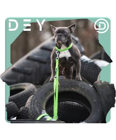 Premium 2m Reflective Dog Leash - 3-Way Adjustable for All Breeds | Many Colors | Doubleein Dog Tow Leash | Green L (2.5 x 200 cm) - Buy Online on GoSupps.com