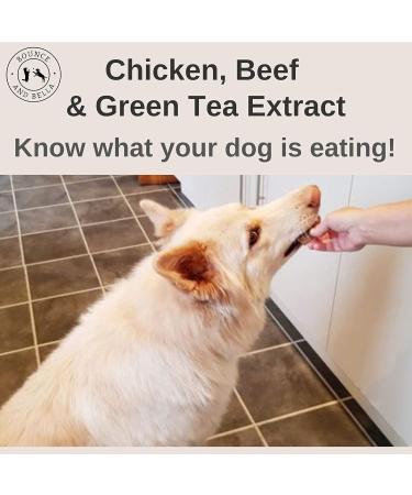 Bounce and Bella Chicken Beef Green Tea Dog Sticks | Natural Healthy Treats | 5 Pack for Dogs & Puppies (8 Weeks+) - Buy Online on GoSupps.com
