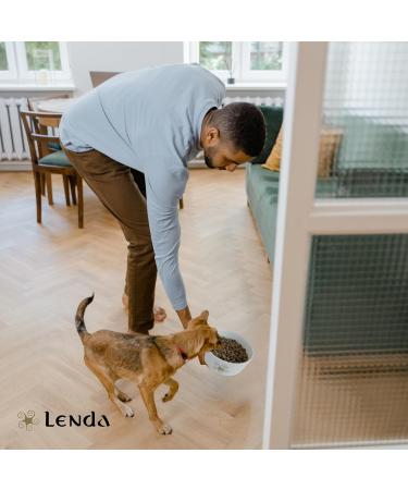 Lenda Light - Complete low-calorie chicken food for overweight or gaining adult dogs | Facilitates weight control and reduction - 2kg - Buy Online on GoSupps.com