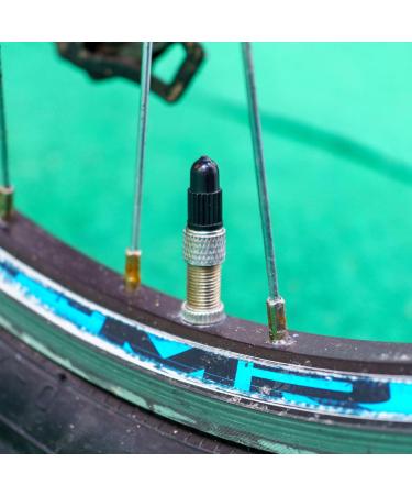 8 Pack Black Plastic Valve Caps for Bicycle Tires - Compatible with Dunlop & Presta Valves | Durable Tire Valve Covers - Buy Online on GoSupps.com