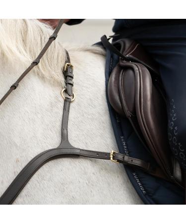 Buy Sunride Front Stuff Ascot for Horses - Real Leather Martingal (5-Point & 3-Point) - Quick Threading Rings - Full Brown - Buy Online on GoSupps.com
