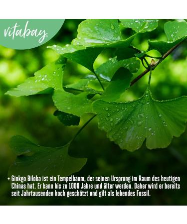Buy Vitabay Ginkgo Biloba 6000 mg - 180 Capsules | 24% Flavone 6% Lactone | High-Quality Lab-Tested | International Shipping Available - Buy Online on GoSupps.com