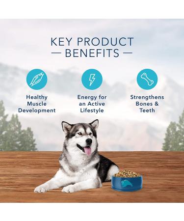 Blue Buffalo Wilderness High Protein Natural Adult Dry Dog Food - Grain-Free | Premium Nutrition - Buy Online on GoSupps.com
