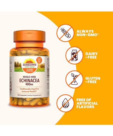 Sundown Naturals Echinacea 400 mg - 100 Whole Herb Capsules for Immune Support - Buy Online on GoSupps.com
