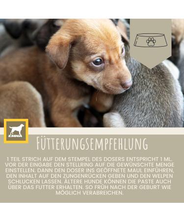 Vitamins for Dogs 1 ml + Paste 15 ml Vitamin B Complex for Dogs Vitamins B + Vitamin ACD Calcium Strengthens Vitality Multivitamins & Minerals Supports the Immune System Skin Coat - Buy Online on GoSupps.com