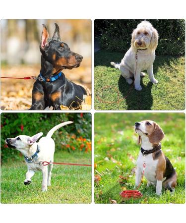 Premium 3m Tie-Out Linen for Dogs | Heavy-Duty Dog Tie-Out Cable for Small Medium & Large Breeds - Red - Buy Online on GoSupps.com