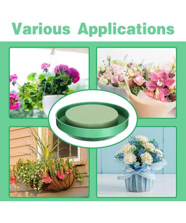 Perthlin 12-Piece DIY Flower Foam Kit | 6.5 Large Round Floral Foam Blocks | Wedding & Party Flower Arranging Supplies - Buy Online on GoSupps.com