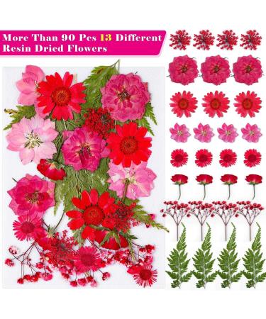 Thrilez 100Pcs Pressed Dried Flowers for Resin Molds - Natural Flower Herbs Kit for Scrapbooking, Card Making, Resin Jewelry, Soap & Candle Making (Blue Purple Red) - Buy Online on GoSupps.com